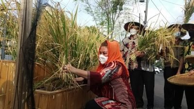 Semarang Jadi Pilof Project Pertanian Regeneratif