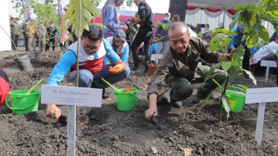 Hari Ozon Internasional, Pertamina dan UGM Tanam Agrogorestri di 10.867 ha Lahan