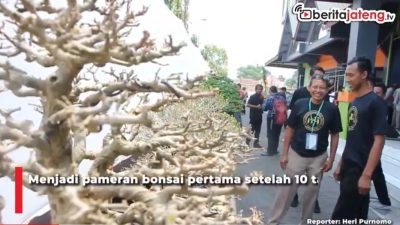 [Video] Bonsai Ratusan Juta Dipamerkan di Blora