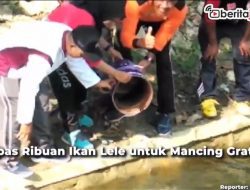 [Video] Ribuan Ikan Lele Dilepas, Warga Ramai-ramai Mancing Gratis