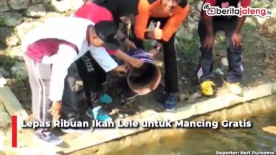 [Video] Ribuan Ikan Lele Dilepas, Warga Ramai-ramai Mancing Gratis