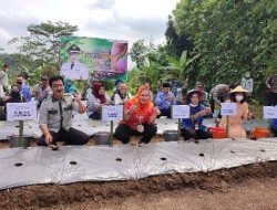 Tekan Inflasi, Pemkot Semarang Launching Tancab Bang Tani
