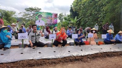 Tekan Inflasi, Pemkot Semarang Launching Tancab Bang Tani