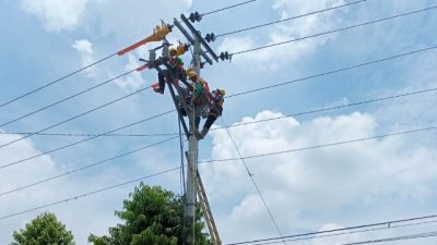 Antisipasi Dampak Musim Penghujan, PLN UP3 Demak Tingkatkan Pemeliharaan Jaringan