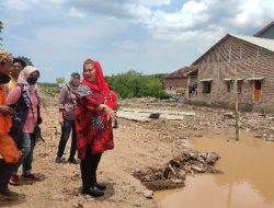 Normalisasi Sungai Beringin dan Sheet Pale Tambak Lorok Perlu Adanya Percepatan