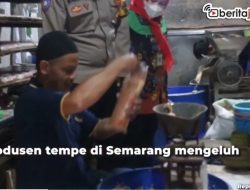 [Video] Kedelai Mahal, Produsen Tempe Menjerit