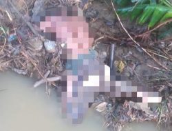 Sepasang Petani Tewas Diduga Akibat Hanyut Terbawa Arus Sungai Kaliyoso Blora