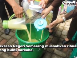 [Video] Musnahkan Narkoba dengan Diblender