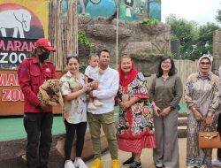 Rans Entertainment Bakal Investasi Kembangkan Semarang Zoo