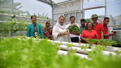 Kembangkan Wisata Agro, Mbak Ita Resmikan Kampoeng Flora Mijen 