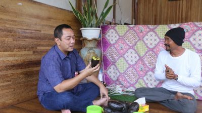Hendi Cicipi Alpukat Varian Baru Black Mamba