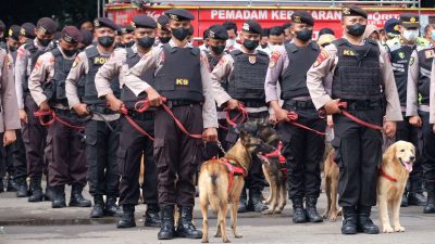 Sebelas Anjing K9 Ikut Dalam Pengamanan Pernikahan Kaesang dan Erina