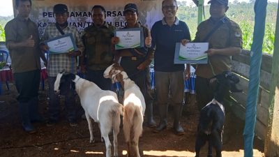 Perum Perhutani di Blora Gelar Jon Training Tanaman Seluas 15,6 Hektar