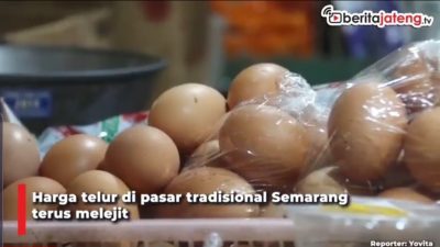 [Video] Harga Telur Melejit Jelang Akhir Tahun