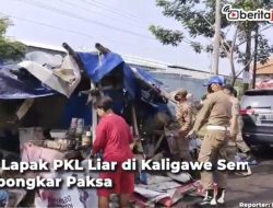 [Video] 25 Lapak PKL Liar di Kaligawe Semarang Dibongkar Paksa