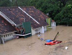 BREAKING NEWS: Banjir Dinar Indah Capai 2,5 Meter Akibat Tanggul Kali Pengkol Jebol