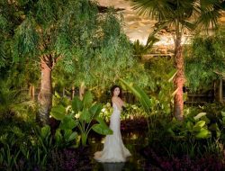 Padma Wedding Expo Bakal Hadir 27-29 Januari Mendatang