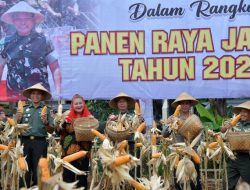 Wujudkan Ketahanan Pangan, Pemkot Sinergi TNI Panen Jagung dan Launching BUMP