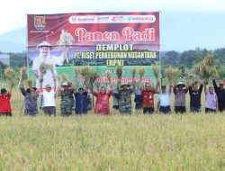 Pemkot Berupaya Tingkatkan Produksi Padi di Kota Semarang