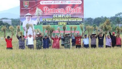 Pemkot Berupaya Tingkatkan Produksi Padi di Kota Semarang