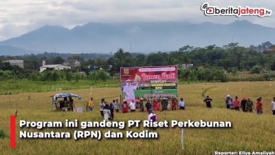 [Video] Tingkatkan Produksi Padi di Kota Semarang