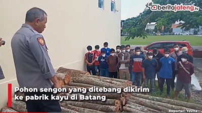 [Video] 15 Penebang Liar di Waduk Jatibarang Ditangkap