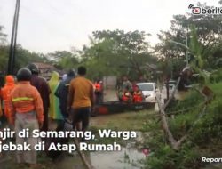 [Video] Banjir Semarang, Warga Terjebak di Atap Rumah