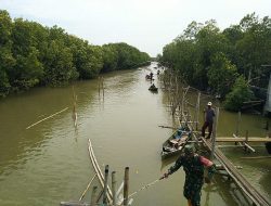 Genangan Banjir Pantura Demak Akibat Pemasangan Jaring Loncat Milik Warga