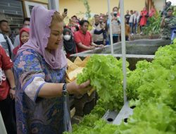 Anak-anak di Semarang Diajarkan Ketahanan Pangan dengan Urban Farming