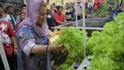 Anak-anak di Semarang Diajarkan Ketahanan Pangan dengan Urban Farming