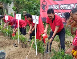 DPC Blora Gelar PDIP Menanam Diiringi Barongan