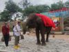 Harga Tiket Wisata Semarang | Semarang Zoo