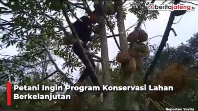 [Video] Petani Inginkan Program Konservasi Lahan Berkelanjutan