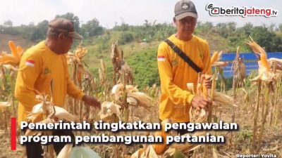 [Video] Pemerintah Kawal Pembangunan Pertanian