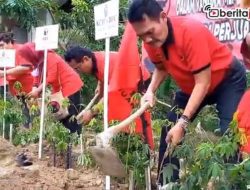[Video] Ratusan Kader PDIP di Blora Menanam Bersama