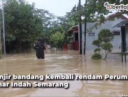 [Video] Banjir Semarang, Perumahan Terendam 2,5 Meter