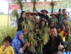 Petani di Blora Otodidak Temukan Jenis Padi Galur Dijamin Bebas Hama