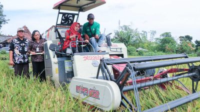 Panen Raya 614.946 Ton Padi, Kabupaten Demak Salah Satu Penyangga Pangan Nasional