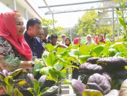 Luncurkan Urban Farming, SMPN 1 Semarang Ajak Siswa Tanam Cabai hingga Sawi
