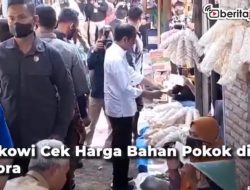 [Video] Blusukan Pasar, Jokowi Cek Harga Kebutuhan Pokok di Blora