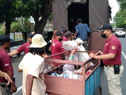 Yustisi PGOT, Satpol PP Kota Semarang Tangkap 13 Manusia Karung