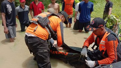 Hanyut di Sungai Tuntang, Tim SAR Temukan Jasad Sumijah 500 Meter dari TKP