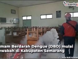 [Video] DBD Muncul, Petugas Fogging Rumah dan Sekolah