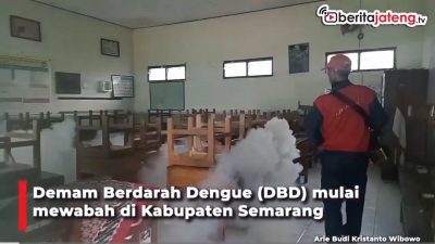 [Video] DBD Muncul, Petugas Fogging Rumah dan Sekolah