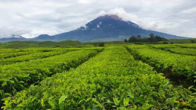Tempat Wisata Jambi yang Populer dan Wajib Dikunjungi