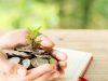 ketentuan pelaksanaan zakat fitrah | transisi energi berkeadilan