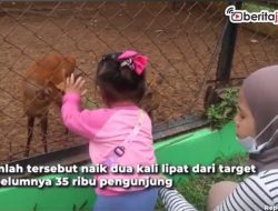 Video Libur Lebaran, Semarang Zoo Dikunjungi 60 Ribu Wisatawan