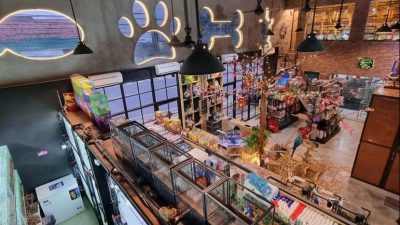 Pet’s Ministry, Sediakan Berbagai Hewan Peliharaan Layaknya Mini Zoo