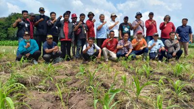 PT BISI Internasional Tbk Tantang Petani Muda Blora Tanam Jagung