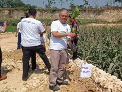 BPPKAD Blora Targetkan Pajak Minerba Capai Rp 200 Juta di 2023